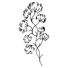 Engraved Vector Hand Drawn Illustrations Of Abstract Flowers Isolated on White. Hand Drawn Sketch of a Flower