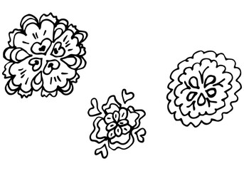 Engraved Vector Hand Drawn Illustrations Set Of Three Abstract Flowers Isolated on White. Hand Drawn Sketch of a Flowers