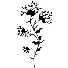 Engraved Vector Hand Drawn Illustrations Of Abstract Flower Isolated on White. Hand Drawn Sketch of a Flower