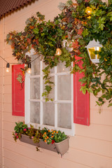 Fototapeta na wymiar Ivy wrapped window of house. wildlife plants home window climb. Retro lantern in arch of wild grapes, building with sprawling liana.climbing plant on window outside.wall of leaves. Classical lantern