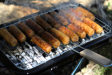 Delicious Kebabs on Mangal