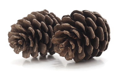 Two pine cones.