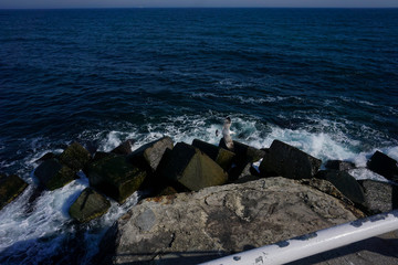 Black Sea waves versus rocks