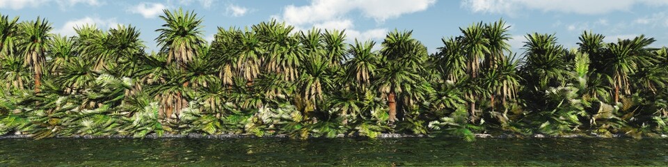 Panorama of palm trees over the water, tropical trees in a row
