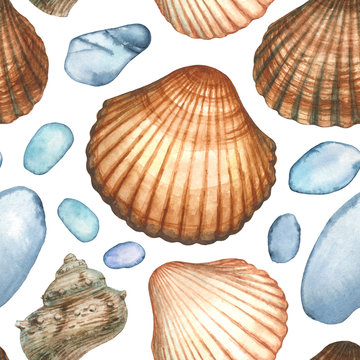Watercolor sea cockle shell seamless pattern with different clams or molluscs of Mediterranean sea and pebbles. Ocean nature illustration. Tropical beach composition. Isolated.