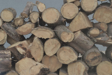 Pile of wooden logs