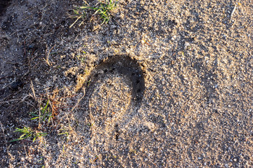 imprint of a horseshoe in wet sand