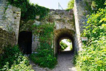 Fototapeta na wymiar gate through castle ruin ivy covered wall