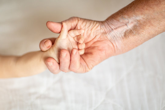 hands of young great-grandson and old great-grandmother. Happy Family concept. Beautiful conceptual image of Maternity. selective focus