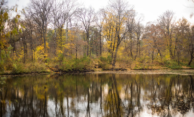 Autumn pond in park