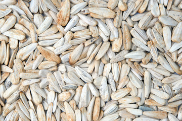 white roasted sunflower seeds with spices and salt top view. for texture or background