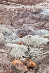 Petrified wood and colourful rock formations, in the Painted Desert, in Arizona