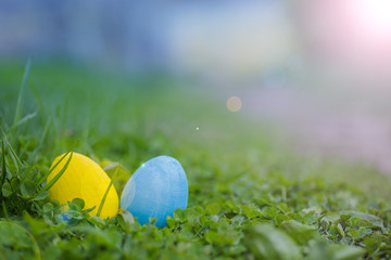 Yellow and white Easter eggs on the leaves of the clover. Easter background. Celebration of Easter in Ukraine.
