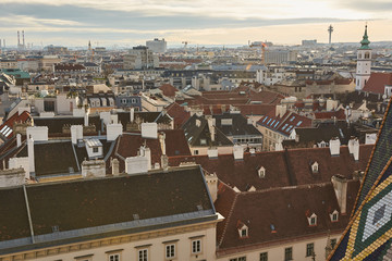 City of Vienna, Austria, January 16, 2019, View of the city of Vienna over the roofs of homes and the pigeons of the sunny city