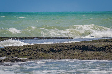 Cities of Brazil - Recife, Pernambuco state's capital - Boa Viagem Beach