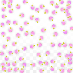 Vector Realistic Pink Petals Falling on Transparent Background.  Spring Romantic Flowers Illustration. Flying Petals. Sakura Spa Design. Blossom Confetti.