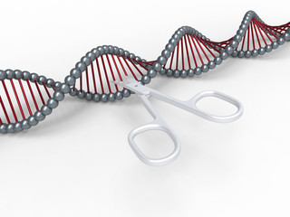 3D render - chromosome editing concept