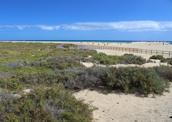 view of the beach