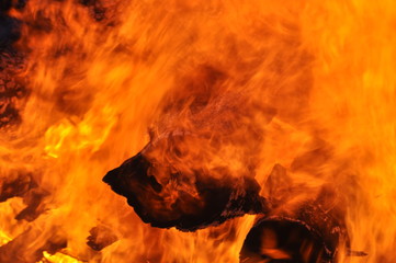 fire/ burning wood