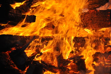 fire/ burning wood