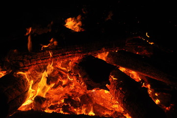 fire wood