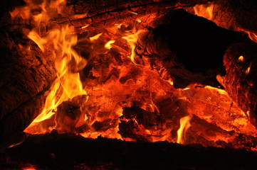 fire wood