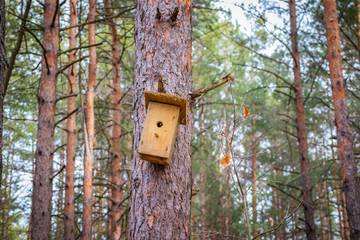 Birdhouse on the tree waiting for the starlings, in the spring in the forest