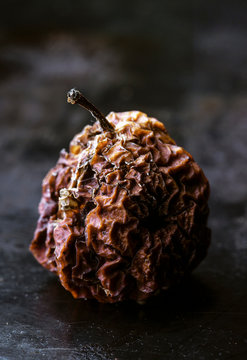 Withered apple on stem