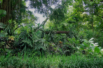 green garden at gembiraloka zoo