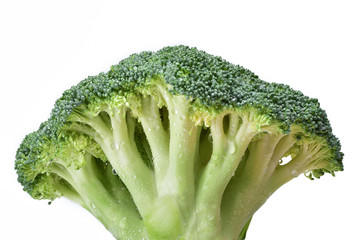 Fresh green broccoli cabbage in large drops of water on a neutral white background