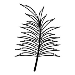 Leaf nature plant symbol in black and white