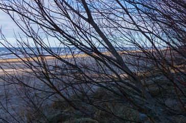 Early spring on the coast of the Gulf of Riga in Jurmala. Latvia.