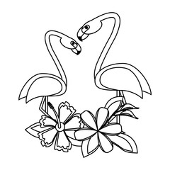 Exotic birds cartoons in black and white