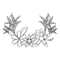 Beautiful flowers cartoon in black and white