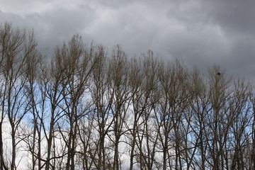 Frühling-Spaziergang