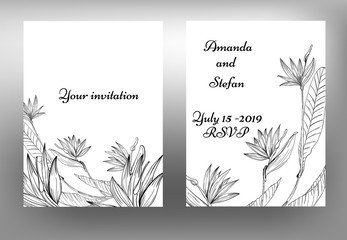 Fototapeta na wymiar Template gift card ink white and black flowers. Vector floral background. Strelitzia blossom paradise.