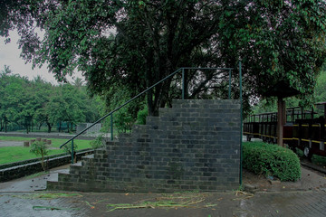 old moss stairs on the park with fence