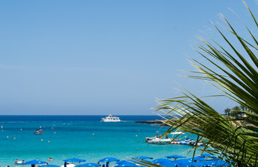 Fototapeta na wymiar Palm on the beach background , sunny day on Protaras, Cyprus