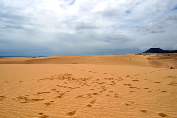 Fototapeta na wymiar Dunas de Corralejo, Fuerteventura, Canarias, Spain. Sand dunes in Corralejo National Park. Alot of footprints on the sand and beautifull clouds in the sky.