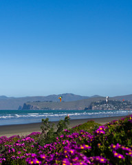 coast line, kitesurfing during sunny day, surfers enjoys free day, flowers in the background