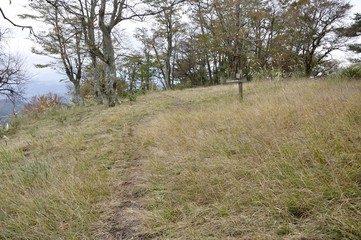 晩秋の櫟山山頂