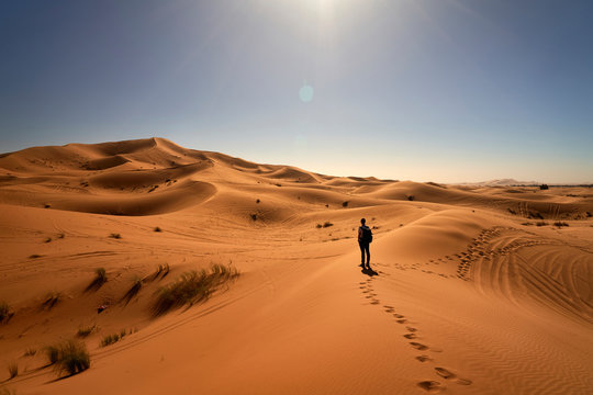 Rear view of man standing on desert landscape