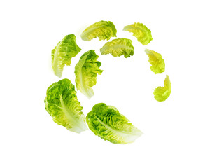 Spiral flying heap of green baby cos lettuce salad leaves