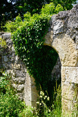 ivy growing on entrance gate of castle ruin