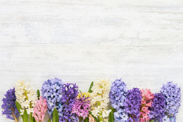 Colorful hyacinth flowers border on white wooden background. Top view, copy space.