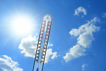 Thermometer 113