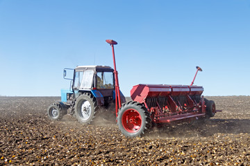 Obraz premium Blue tractor with a red seeder works on the field on a bright sunny autumn day
