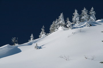 Fototapeta na wymiar 青と白の世界　透明感 空気感のある雪山の風景