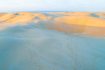 Aerial view of one person in sand dunes at sunrise