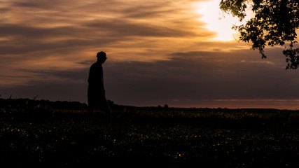 Silhouette of man on a field at sunset in the Netherlands